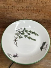 Over and Back Italy Herb Garden Pasta 9.5" Bowl ROSEMARY