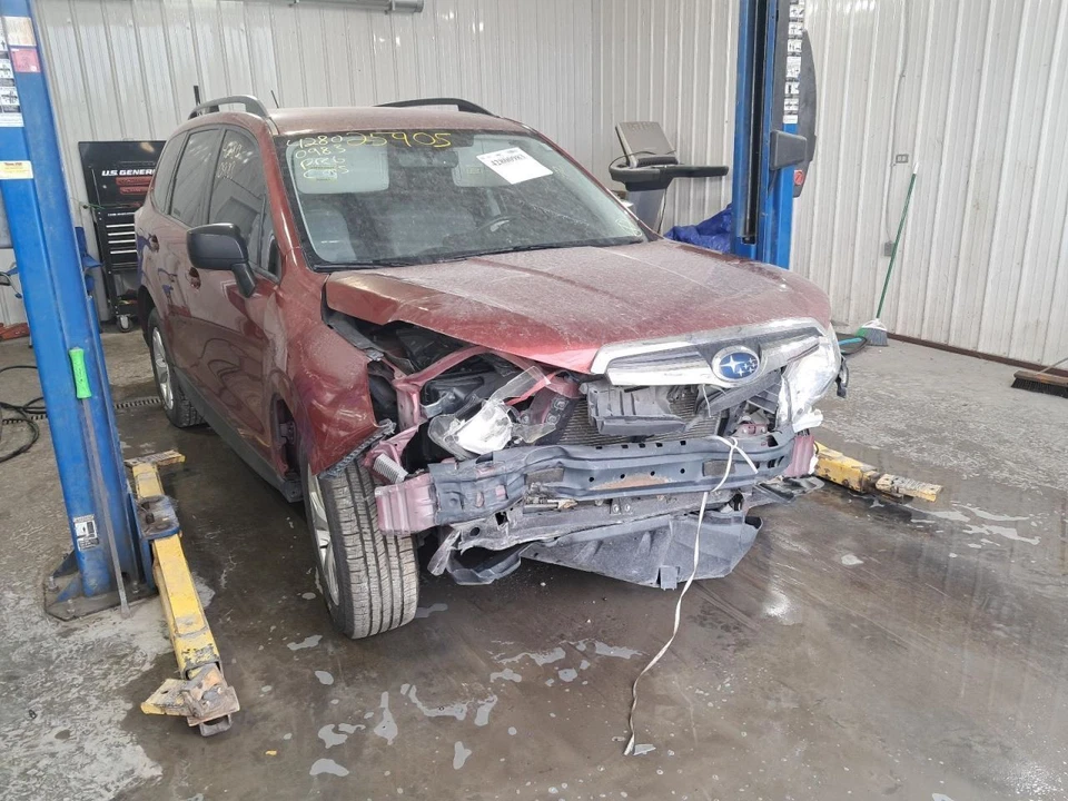 2015 Subaru Forester Rear Right Door Panel Tan OEM Used 437435 Foto 2 de 4