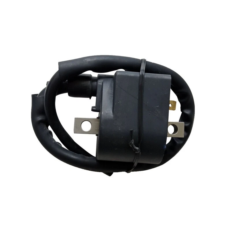 Bobina de encendido cuádruple para Suzuki AX100 50-250CC ATV motor chino moto de cross Foto 3 de 4
