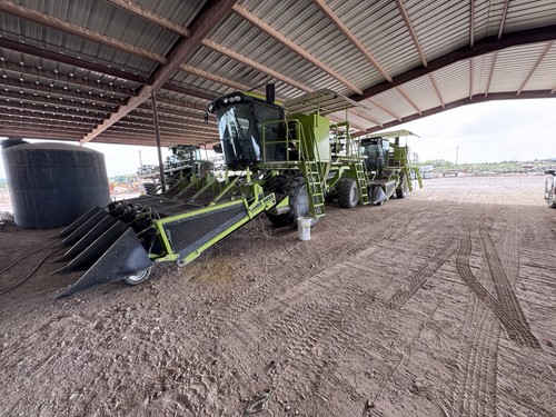 Boese Chili Harvesters - Pair of 2 - 4 Row