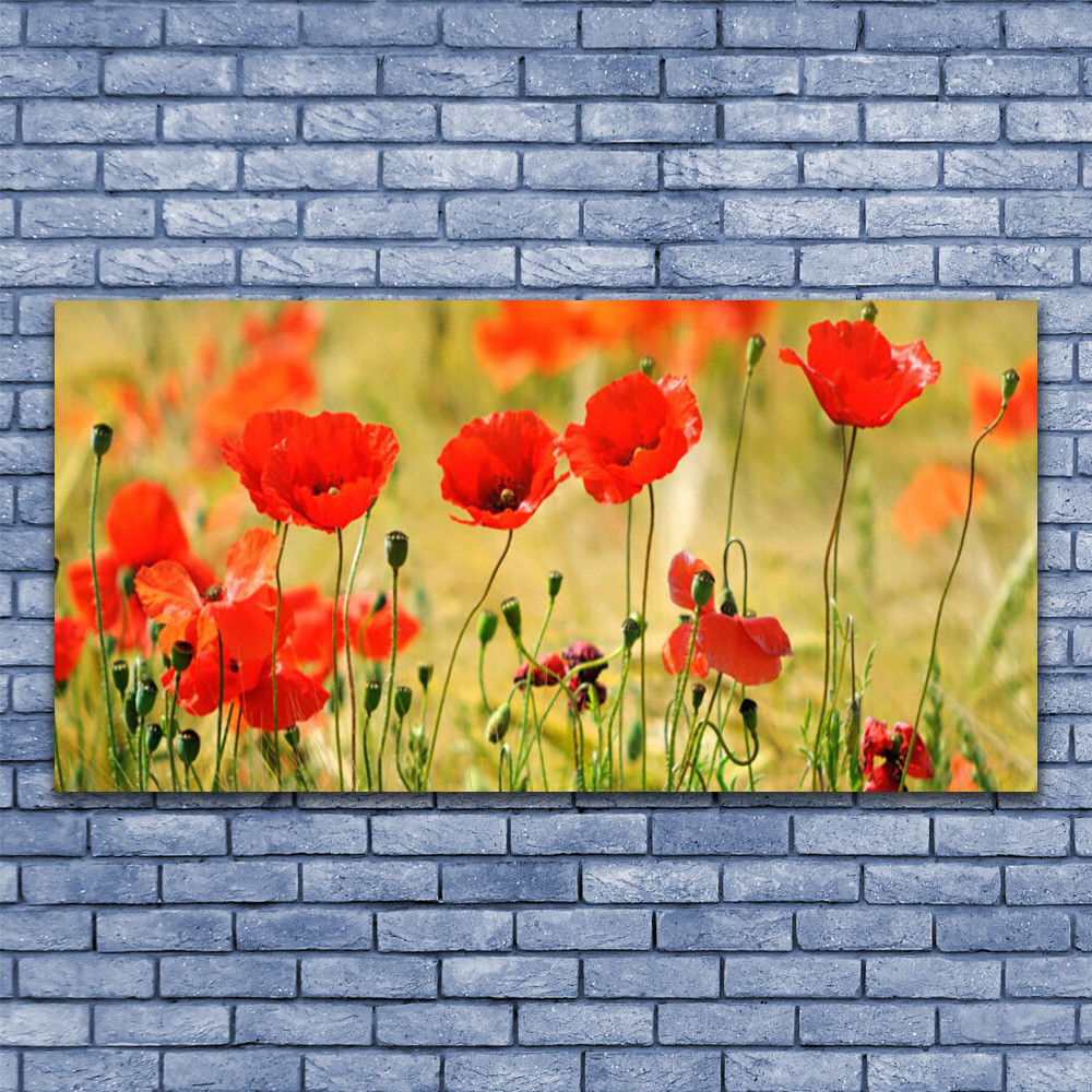 Cuadros de pared cuadros de vidrio impresión sobre vidrio 140x70 amapolas naturaleza