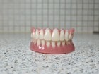 New Dentures/False Teeth,Upper&Lower set,Novelty,Display,Props,Teaching aid etc