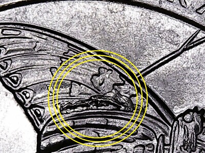 2020 P  Tallgrass Prairie ATB Quarter with 2 Die Chips (Die Breaks).