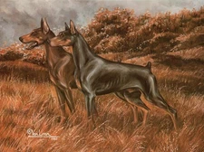 Doberman Pinscher pair limited edition print by Martha Van Loan 8x10 signed