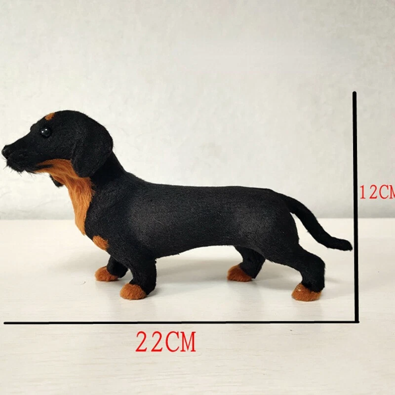 Daschund breeders best sale