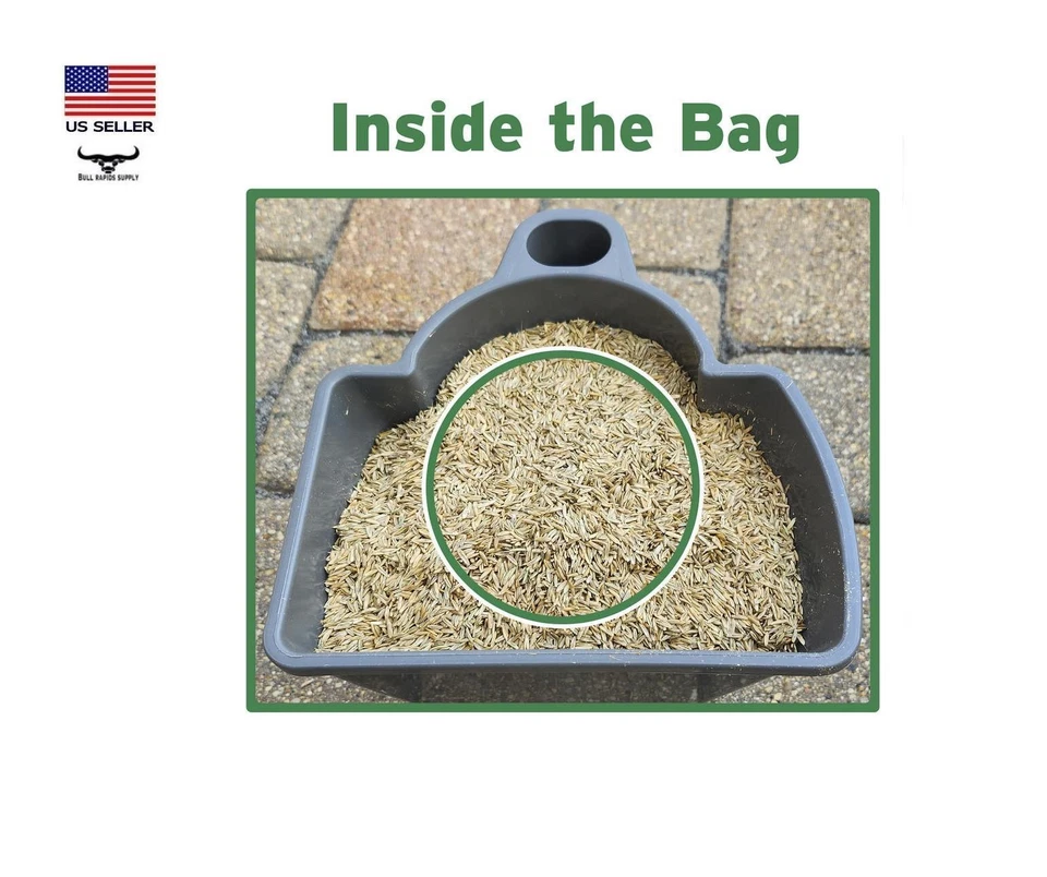 Semilla de hierba Nature's Finest Easy Green Mix - 5 lb. Fundas para bolsas de hasta 1.000 m² ft. Foto 2 de 4