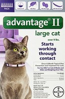 Cat Kitten Flea Control Pet Supplies 6-doses Pet Care Kill Flea Population Treat on sale Cat Kitten Flea Control Pet Supplies 6-doses Pet Care Kill Flea Population Treat on sale