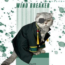 WIND BREAKER Suou Hayato Cartoon Little Cat Clothes Coat Cosplay Costume