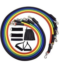 Resistance Bands 11 Pack Set,Portable Exercise Resistance,Physical Therapy