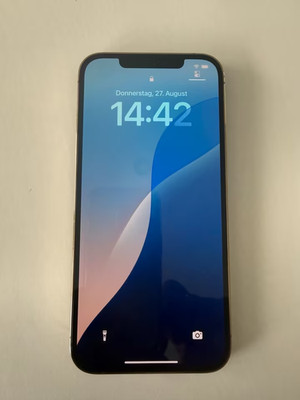 Apple iPhone 12 Pro Max - 256GB - 100% Batteriezustand - Gold (Ohne Simlock)