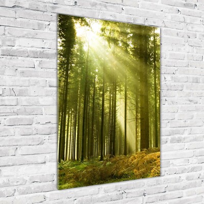 Wandbild Kunst-Druck auf Hart-Glas hochkant 70x100 Sonne im Wald