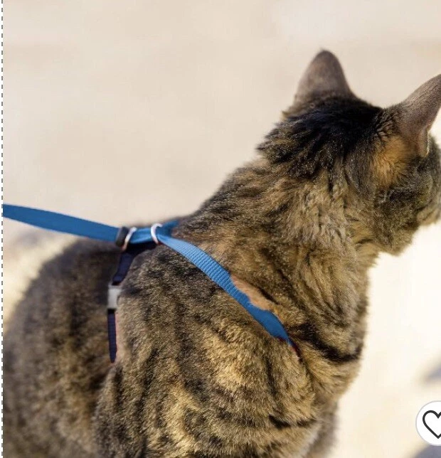 PetSafe Come With Me Kitty Cat Harness & Bungee Leash, SZ Medium Royal Blue/Navy - Image 4 of 4