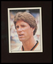 1981 Topps Stickers #39 Jim Palmer Baseball Card