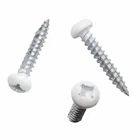 8X1" Pan Head Metal RV Screws Polar White 100 Pack