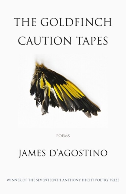 The Goldfinch Caution Tapes 9781911379126 - Free Tracked Delivery