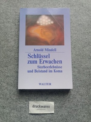 Schlüssel zum Erwachen : Sterbeerlebnisse und Beistand im Koma. Mindell, Arnold: