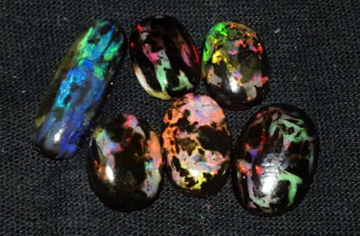 15.85CRT INDONESISCHER OPAL 6 STÜCK Opal Holz Fossil Schmuckkreation Cabochon 