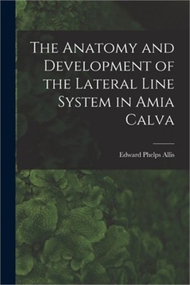 The Anatomy and Development of the Lateral Line System in Amia Calva (Paperback
