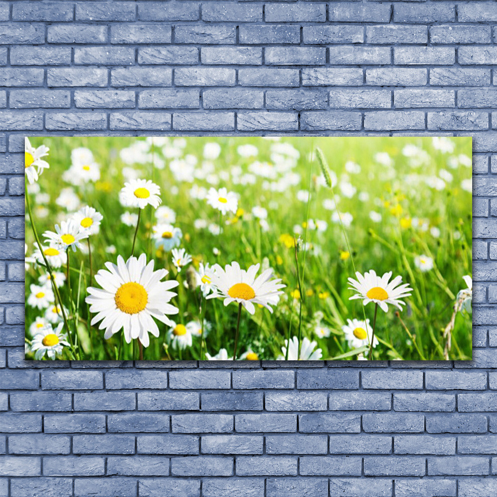Tableau en verre acrylique 140x70 cm Marguerite pour decoration murale