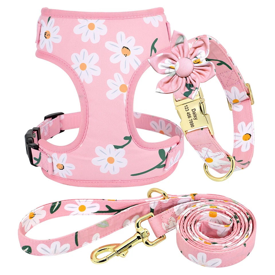 Floral Mesh Step in Dog Harness and Leash Set with Personalized Dog Collar XS-L - Image 3 of 4