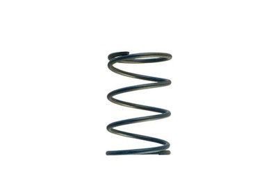 Turbosmart for Gen-V WG45/50 14psi Blue Outer Spring