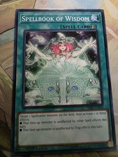 Spellbook Of Wisdom SR08-EN029 Common 1rst Edition