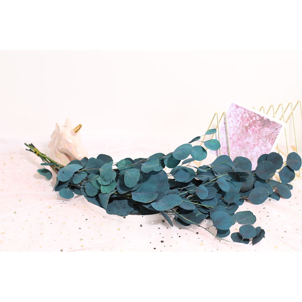 Eucalyptus Dried Flowers Eternal Durability Dried Flowers Bouquet Decoration