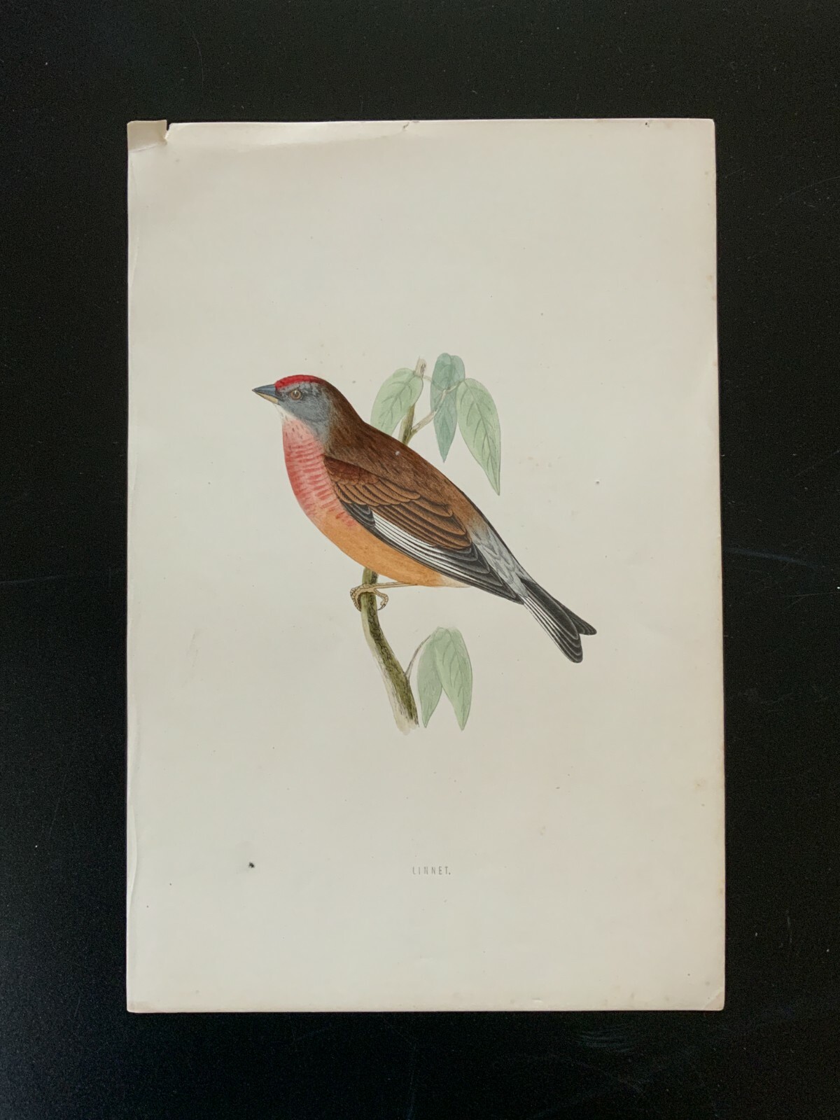 Picture 48 of 94