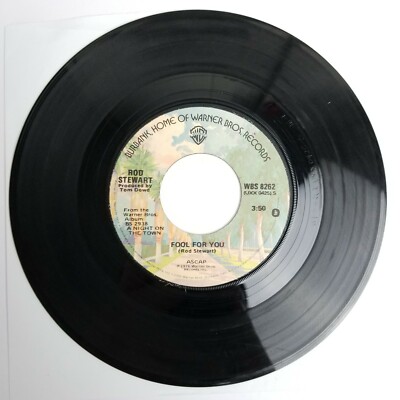Rod Stewart Tonight's The Night 45 rpm WBS 8262 | eBay