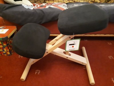 Argos Kneeling posture Chair For Back Pain Support Work From Home | eBay