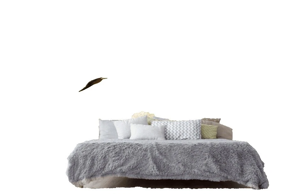 Modern Wallpaper, Tools & Accessories