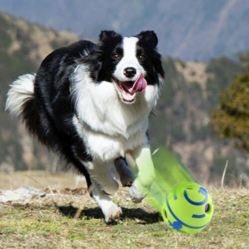 Pet Giggle Ball Interactive Indoor Outdoor Toy Wobble Wag Pet Exercise Rolling - Picture 10 of 15