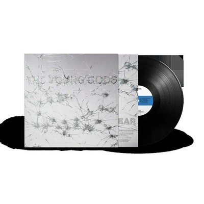 Appear Disappear | The Young Gods | Vinyl / Schallplatte | 2025 | TWO GENTLEMEN