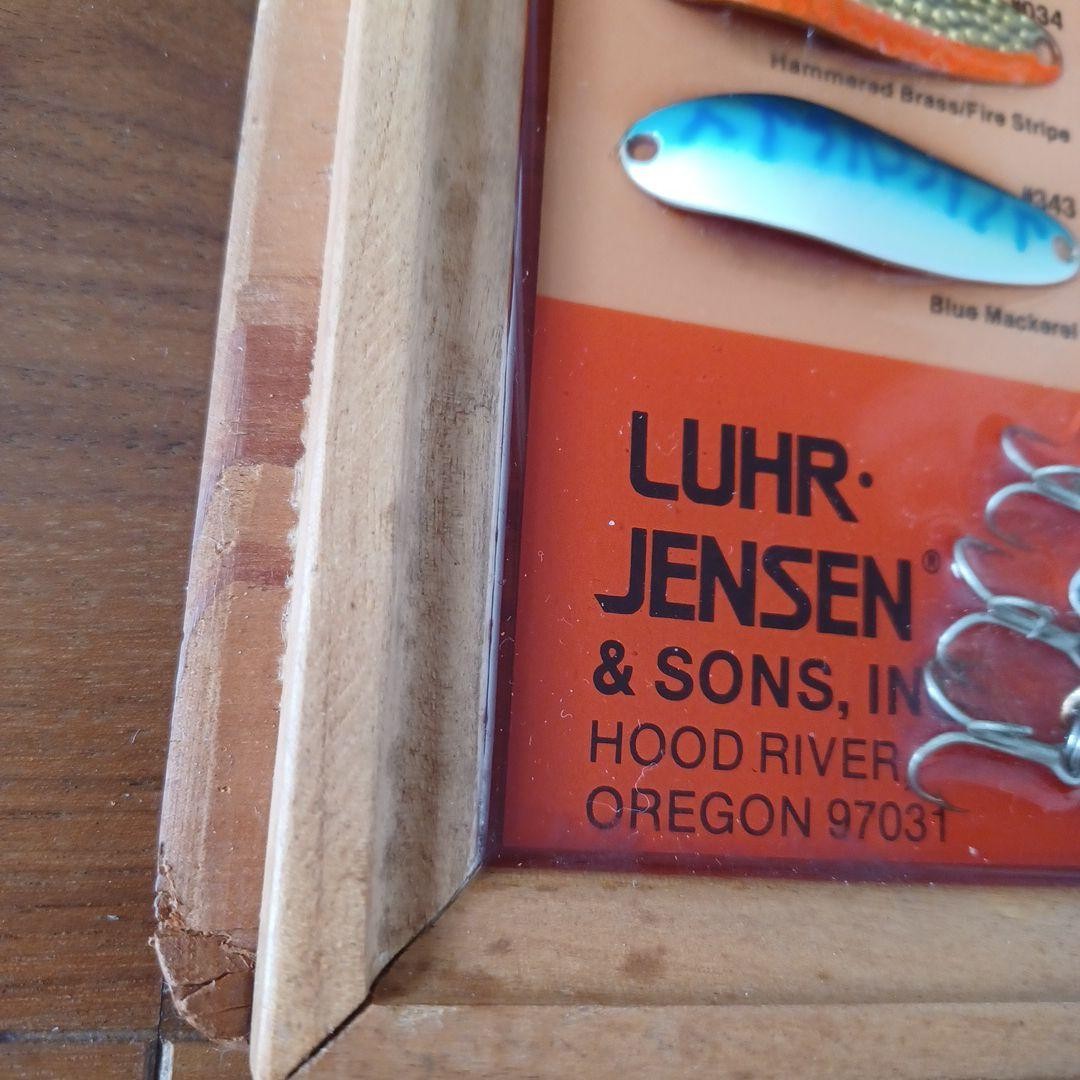 Luark Crocodile Display Frame - Image 6