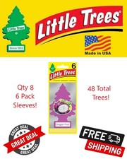 Little Trees Dragon Fruit Hanging Air Freshener for Car  Home 48 Pack 