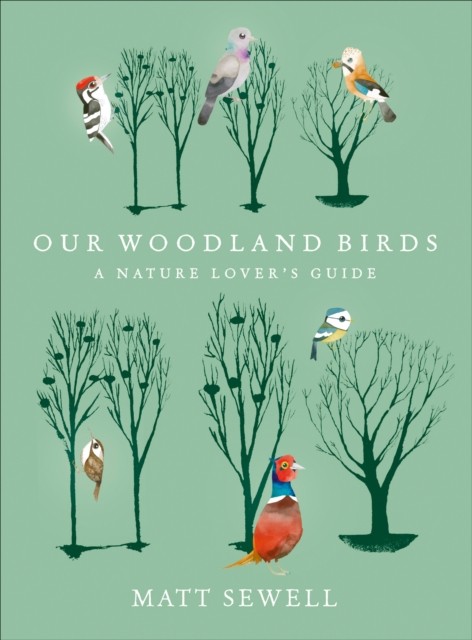 Our Woodland Birds by Matt Sewell (Hardback Book)