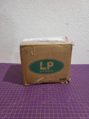 LP Batteries LP12-40 12V 38Ah AGM Battery Beschädigt - 13_5