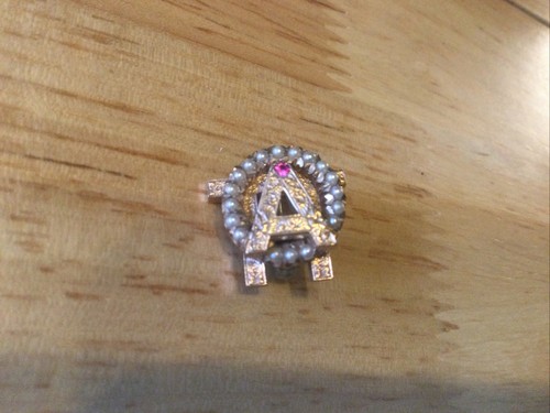 Alpha Omicron Pi Sorority Frat 10K Gold Jeweled Pin 1983 Plus Glass Display Box - Picture 2 of 7