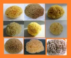 Natural sponge sea GREECE you choose = brown -- or --- yellow