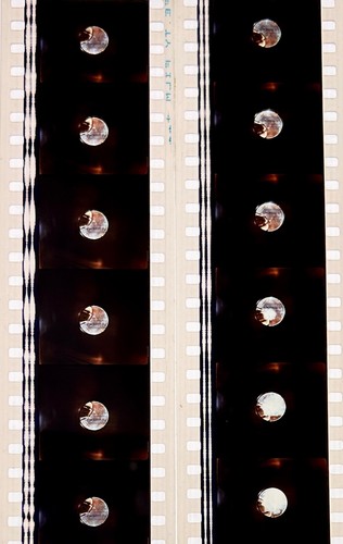 Jurassic Park 1993 Very Rare Unmounted 35mm Film Cells - Steven Spielberg - Picture 56 of 142