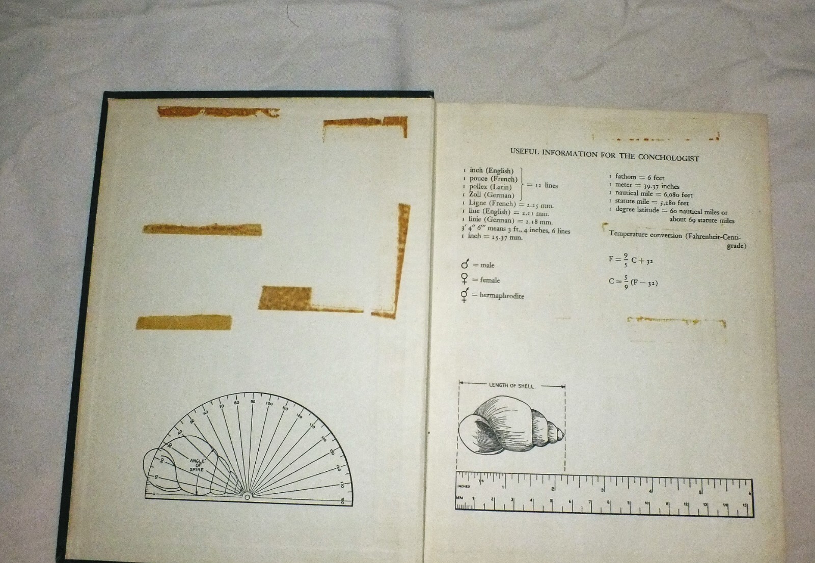 Picture 4 of 9