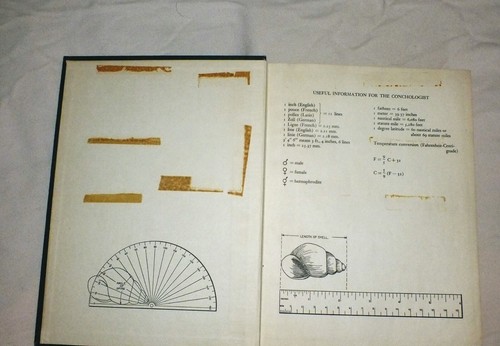 BOOK "AMERICAN SEASHELLS" 1ST. ED. 2ND PREPUBLICATION PRINTING, ABBOTT, 1954 - Picture 4 of 9