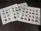 Lot of 3 2012 USPS Apples Sheet of Twenty 33 Cent Postage Stamps