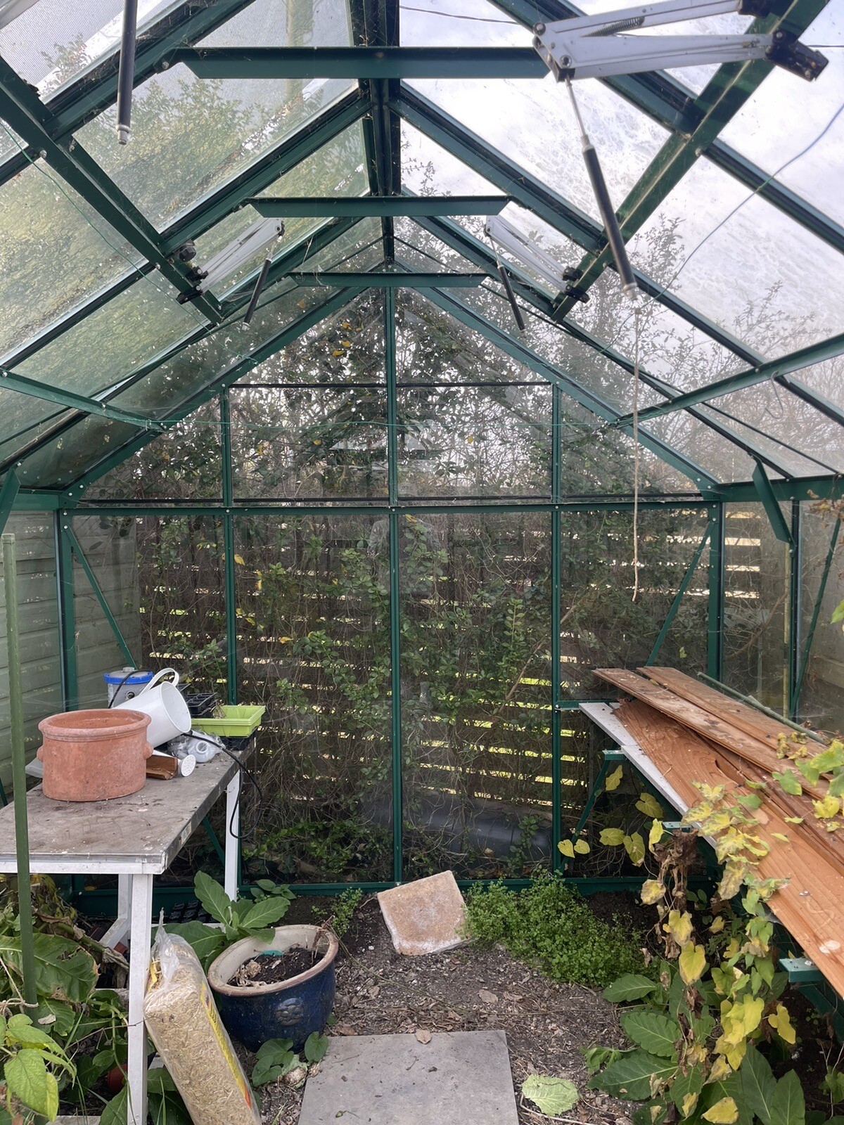 rhino greenhouse used eBay