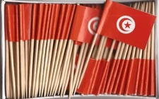 One Box of 100 Tunisia Toothpick Flags, 100 Small Mini International Flags