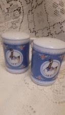 Vintage Grandma Core,Cottage Core, Goose Salt Pepper Shaker, Geese Country Core 
