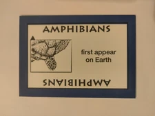 PERSPECTIVE Time Line Game 1992 card used AMPHIBIANS World History free ship