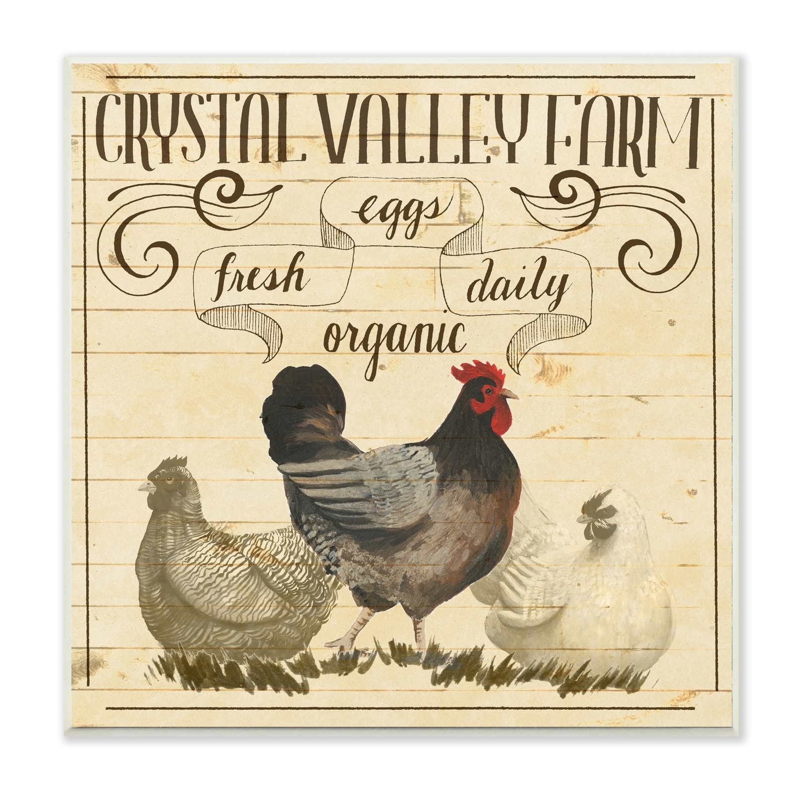 Stupell Organic Farm Chicken Eggs Vintage Tan Beige Wood  12 x 12