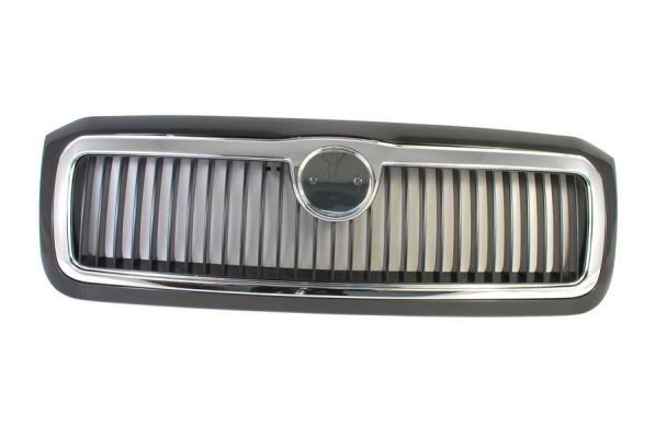 Blic 6502-07-7513993P KüHlergitter FüR Skoda-image