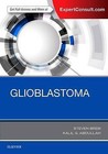 Glioblastoma by Steven Brem, Kalil G. Abdullah (Hardback, 2016)